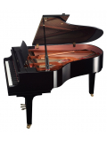 C3X (Polished Ebony), зображення 3